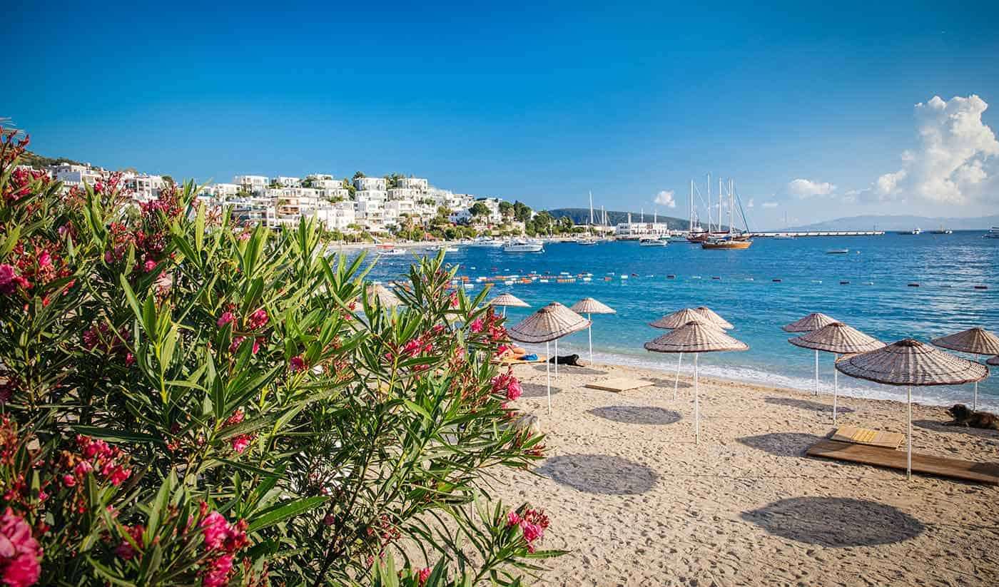 Bodrum Uçak Bileti