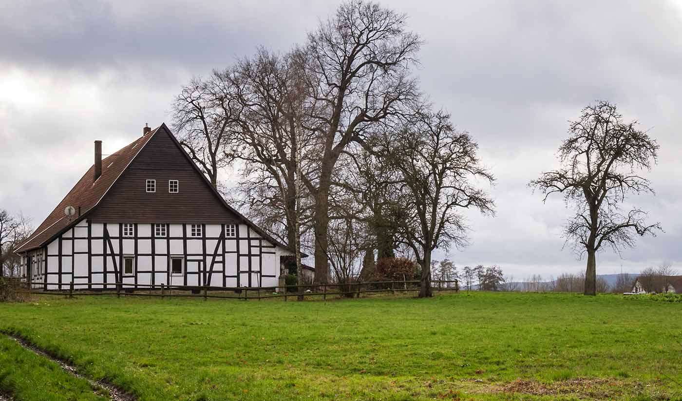 Münster Uçak Bileti