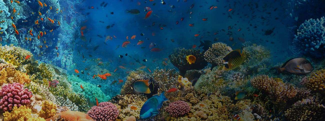 Cheap Flights from Nuremberg to Hurghada