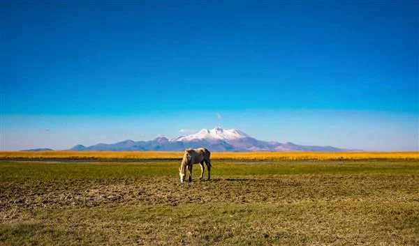 Kayseri Natuur Erciyes