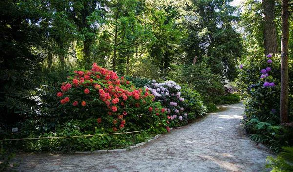 Munchen Natuur Munich Botanical Gardens