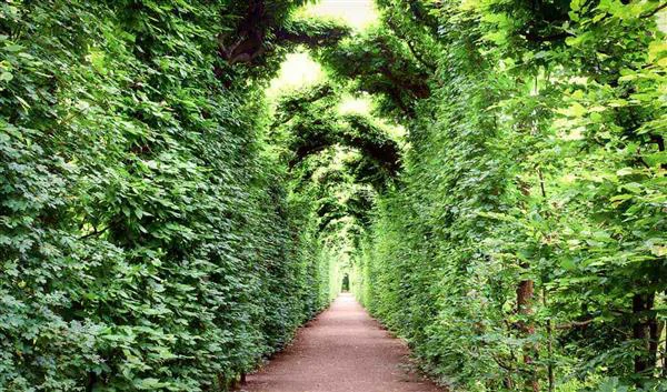 Wenen Natuur Schönbrunn Gardens