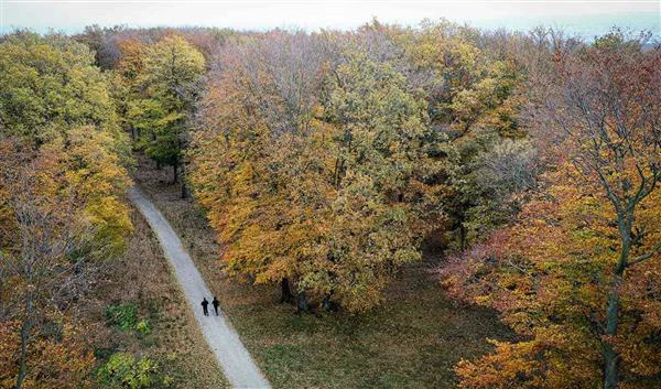Wenen Natuur Lainzer Tiergarten