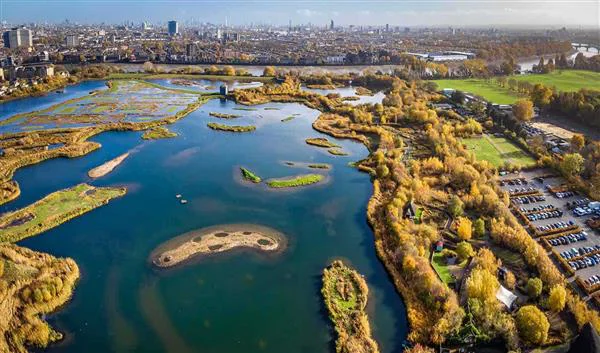 Londra Doğa London Wetland Center