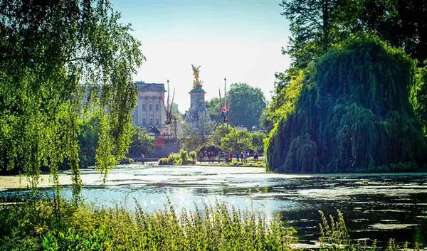Londra Doğa Green Park