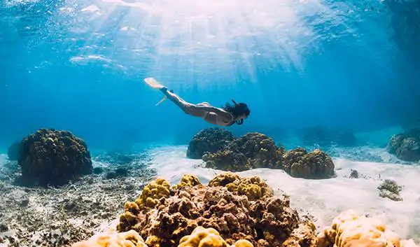 Kralendijk Culture Snorkeling