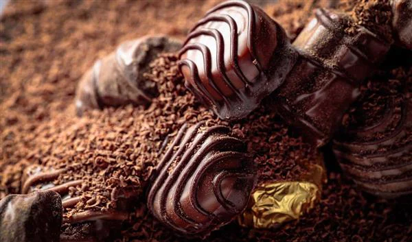 Brussels Cuisine Belgian Pralines
