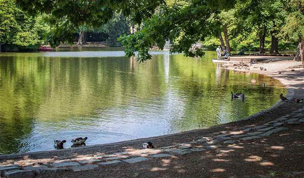 Köln-Bonn Doğa Arboretum