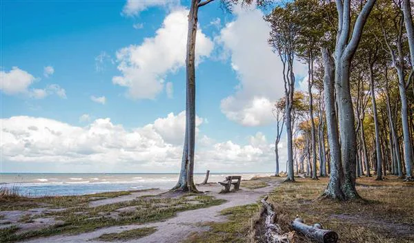 Rostock Natur Naturschutzgebiet Stoltera