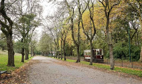 Manchester Doğa Heaton Park