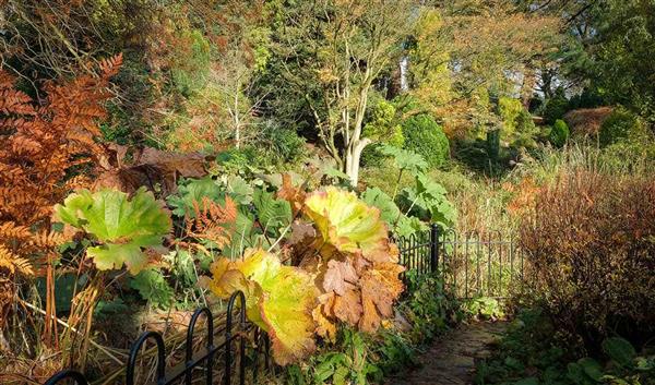 Manchester Natur Fletcher Moss Botanical Gardens