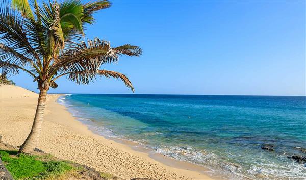 Fuerteventura Beach Playa Esmerelda