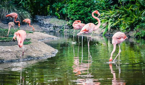 Fuerteventura Nature Oasis Park