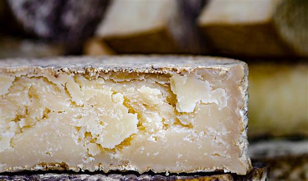 Fuerteventura Cuisine Majorero Cheese