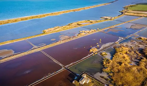 Burgas Nature Pomorie Lakes