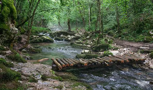Burgas Nature Strandzha Nature Park