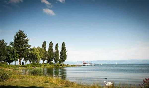 Friedrichshafen Natuur Lake Constance