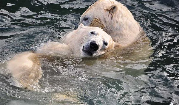 Bremen Natur Zoo am Meer: 