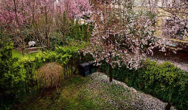 Ankara Nature Atatürk Forest Farm