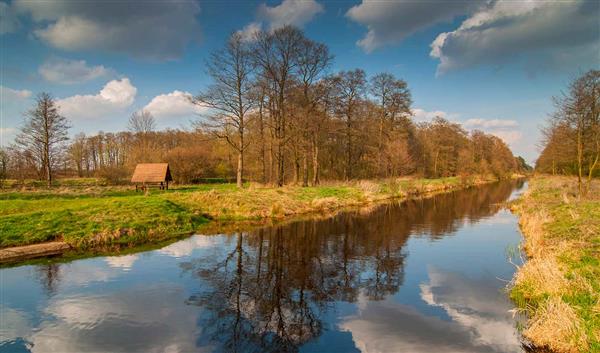 Warszawa  Przyroda Kampinoski Park Narodowy: 