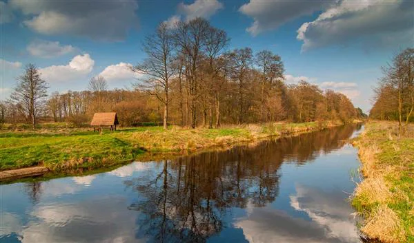 Varşova Doğa Kampinos Milli Parkı