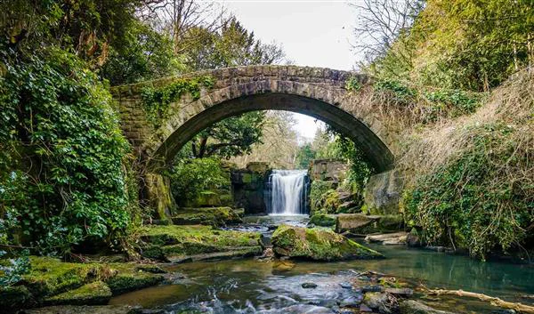 Newcastle Nature Jesmond Dene