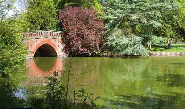 Birmingham Nature Cannon Hill Park 