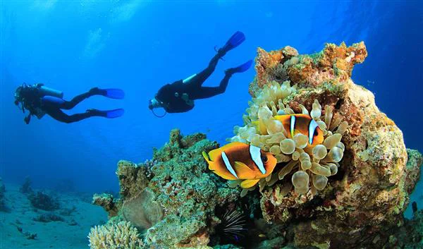 Marsa Alam Nature Shaab Marsa Alam
