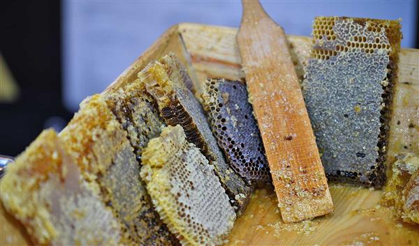 Samsun Mutfak Deli bal