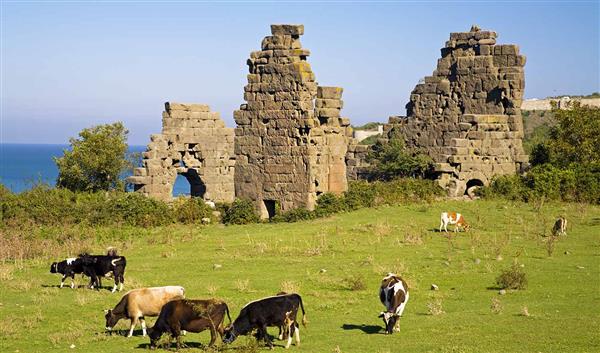 Zonguldak Kultur Die antike Stadt Teion