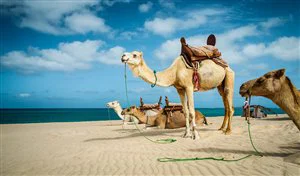 Flüge nach Hurghada